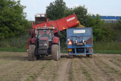Traktor při sklizni